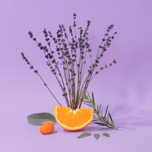 Load image into Gallery viewer, Liquid Marseille Refill Set - Aromatic Lavender