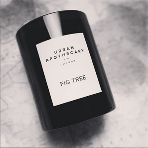 Fig Tree Candle